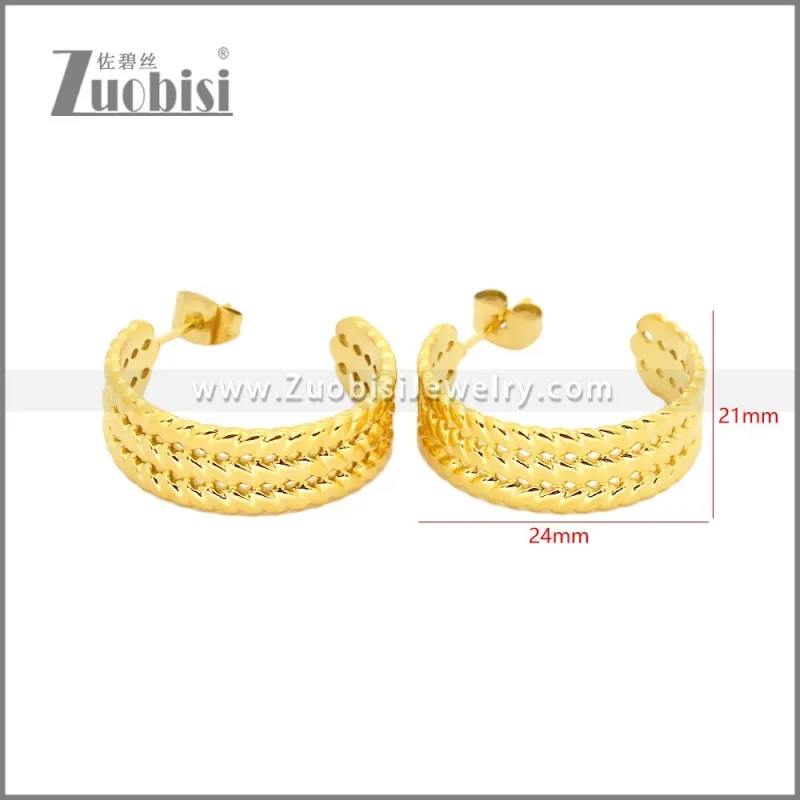 Stainless Steel Earrings e002457G