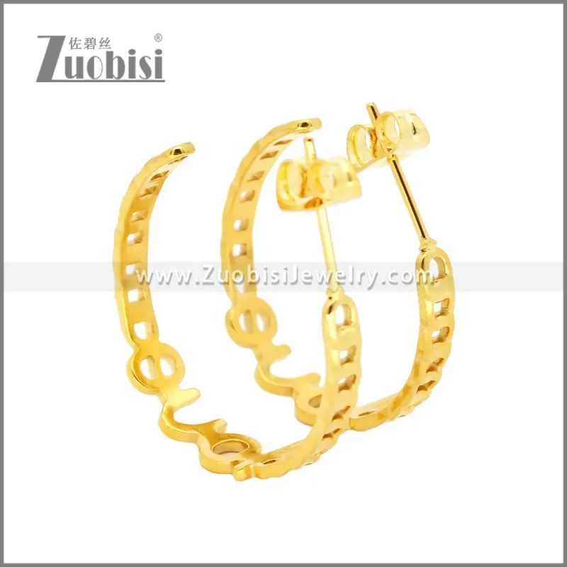Stainless Steel Earrings e002455G