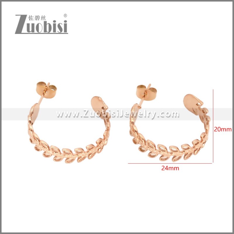 Stainless Steel Earrings e002452R