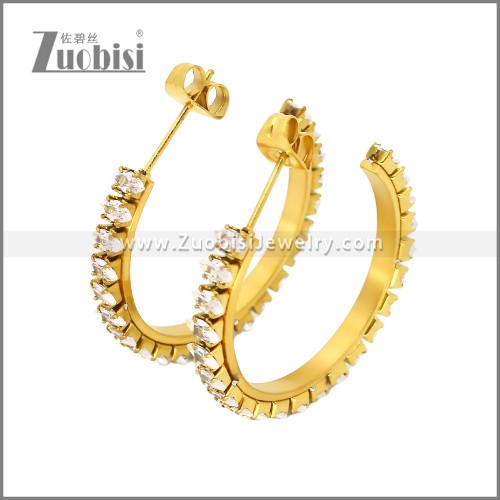 Stainless Steel Earrings e002447G