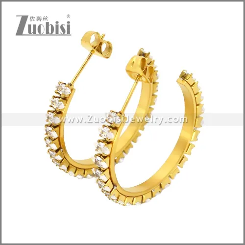 Stainless Steel Earrings e002447G