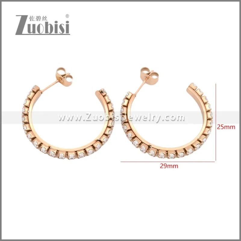 Stainless Steel Earrings e002447R