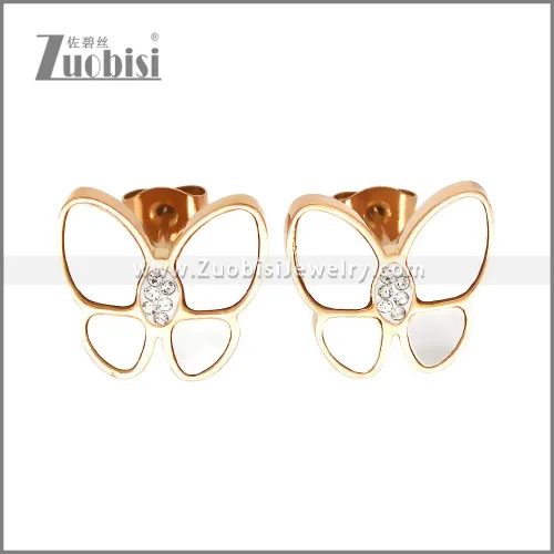 Stainless Steel Earrings e002444R