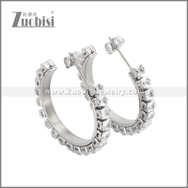 Stainless Steel Earrings e002451S