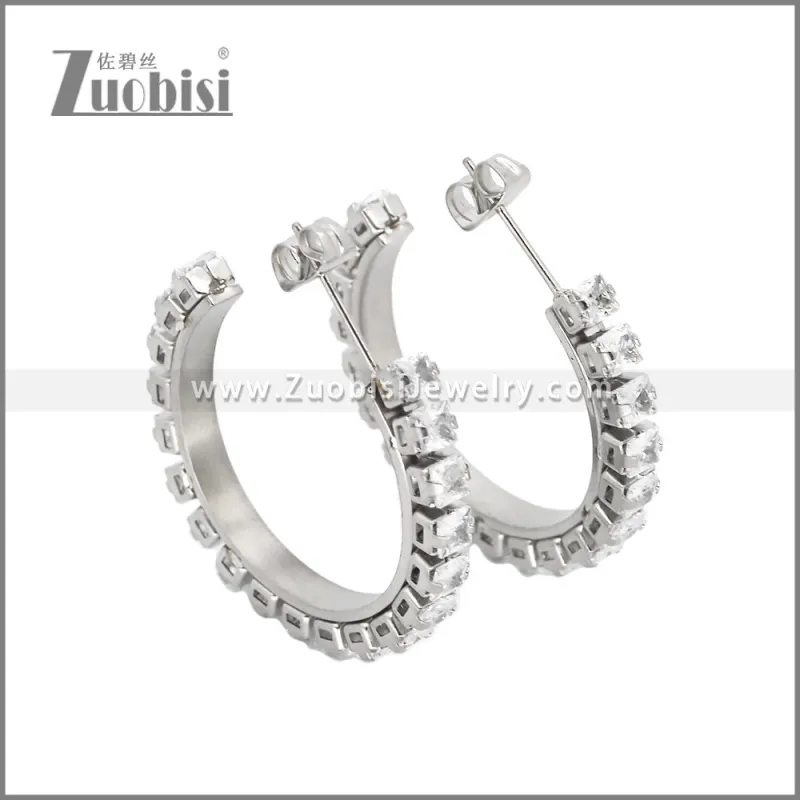 Stainless Steel Earrings e002451S