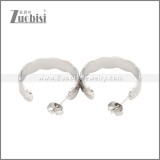 Stainless Steel Earrings e002453S