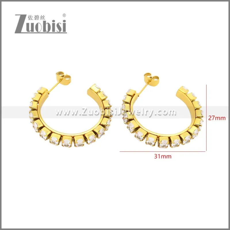 Stainless Steel Earrings e002449G