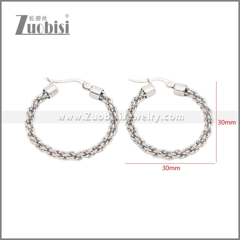 Stainless Steel Earrings e002459S