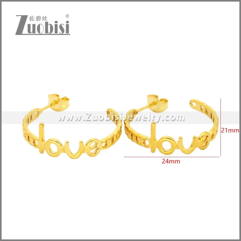 Stainless Steel Earrings e002455G