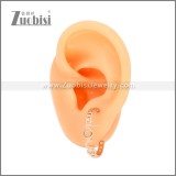 Stainless Steel Earrings e002455R