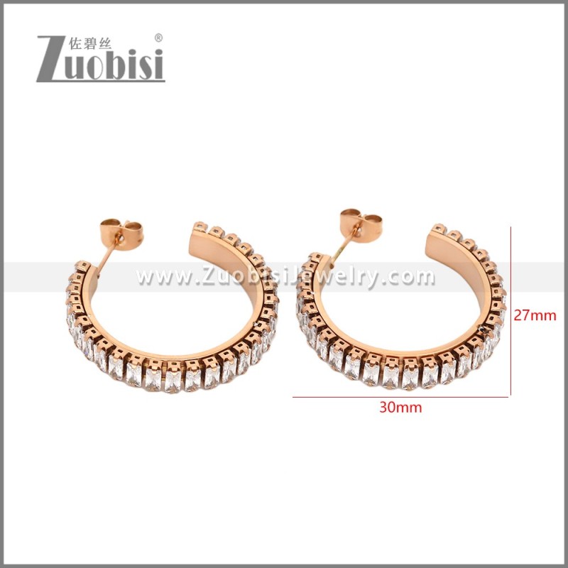 Stainless Steel Earrings e002448R