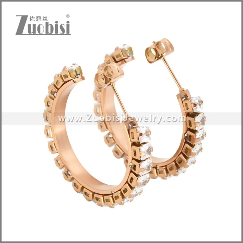 Stainless Steel Earrings e002451R