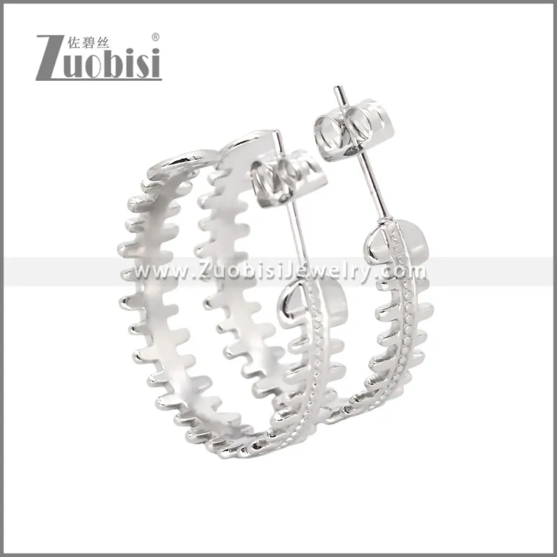 Stainless Steel Earrings e002456S