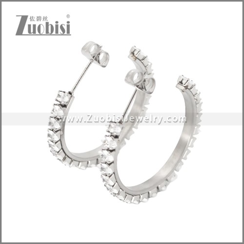 Stainless Steel Earrings e002447S