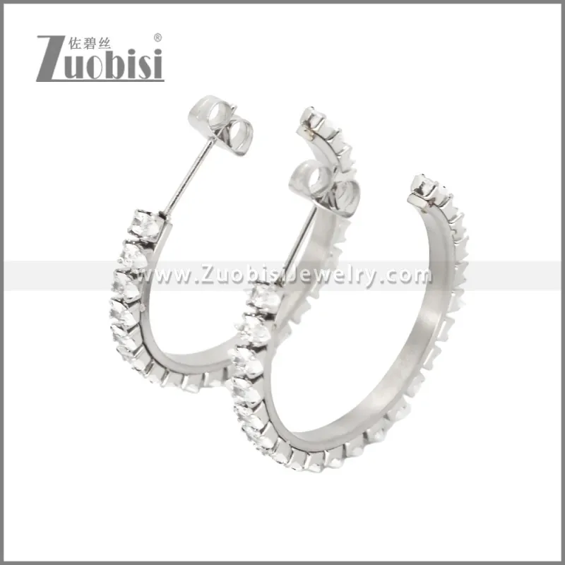 Stainless Steel Earrings e002447S
