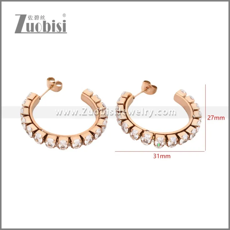 Stainless Steel Earrings e002449R