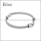 Stainless Steel Bangles b010573S