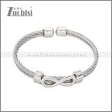 Stainless Steel Bangles b010573S