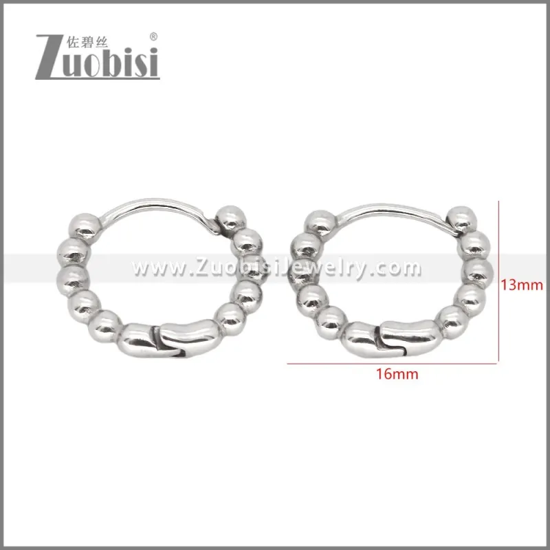 Stainless Steel Earrings e002468
