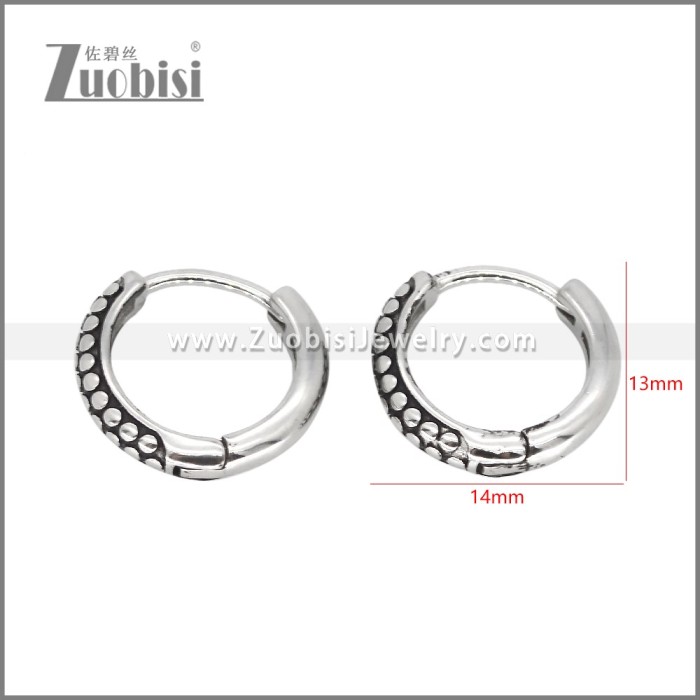 Stainless Steel Earrings e002464
