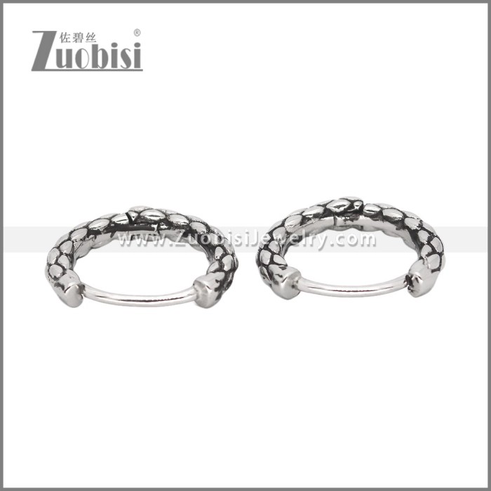 Stainless Steel Earrings e002462