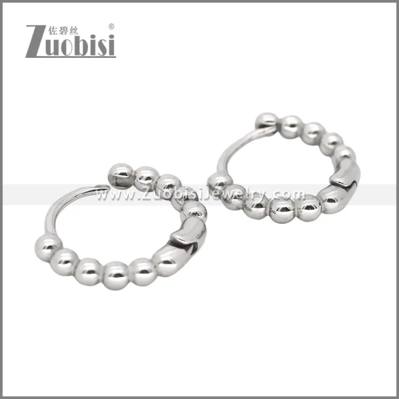 Stainless Steel Earrings e002468