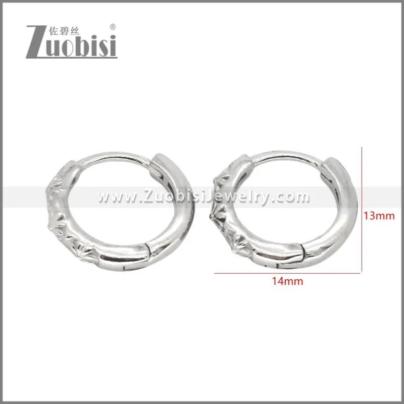 Stainless Steel Earrings e002466