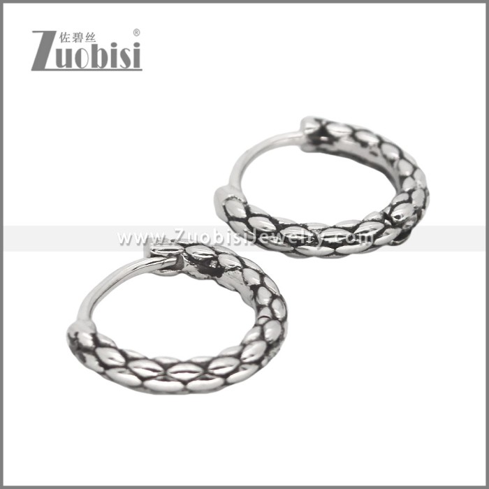 Stainless Steel Earrings e002462