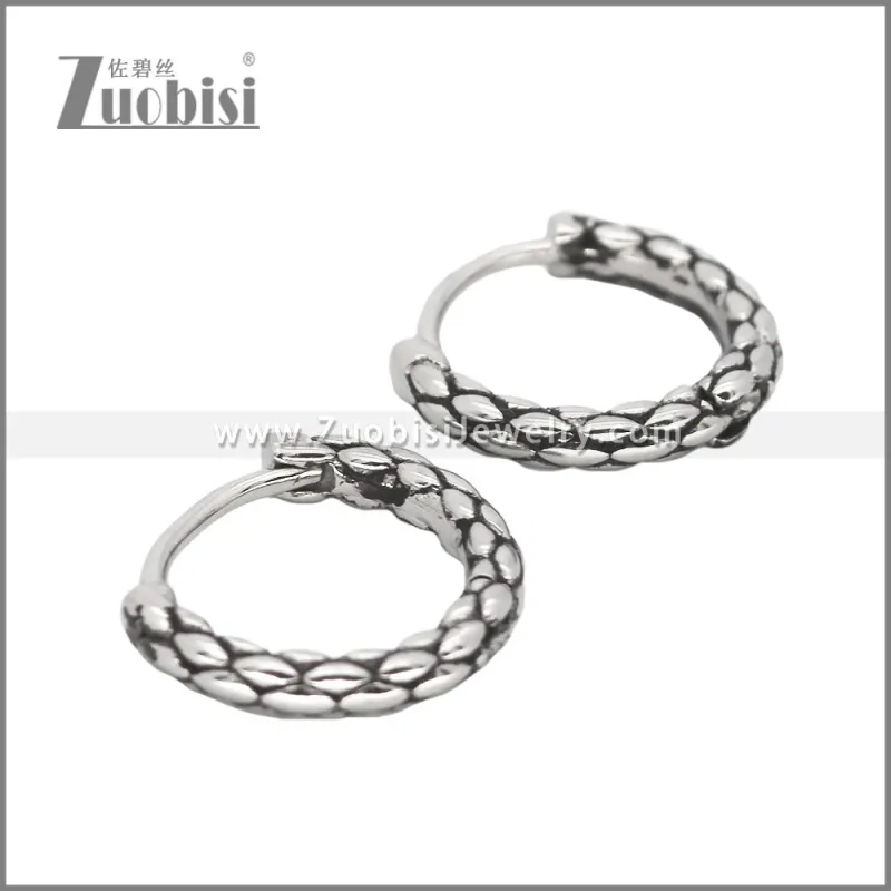 Stainless Steel Earrings e002462