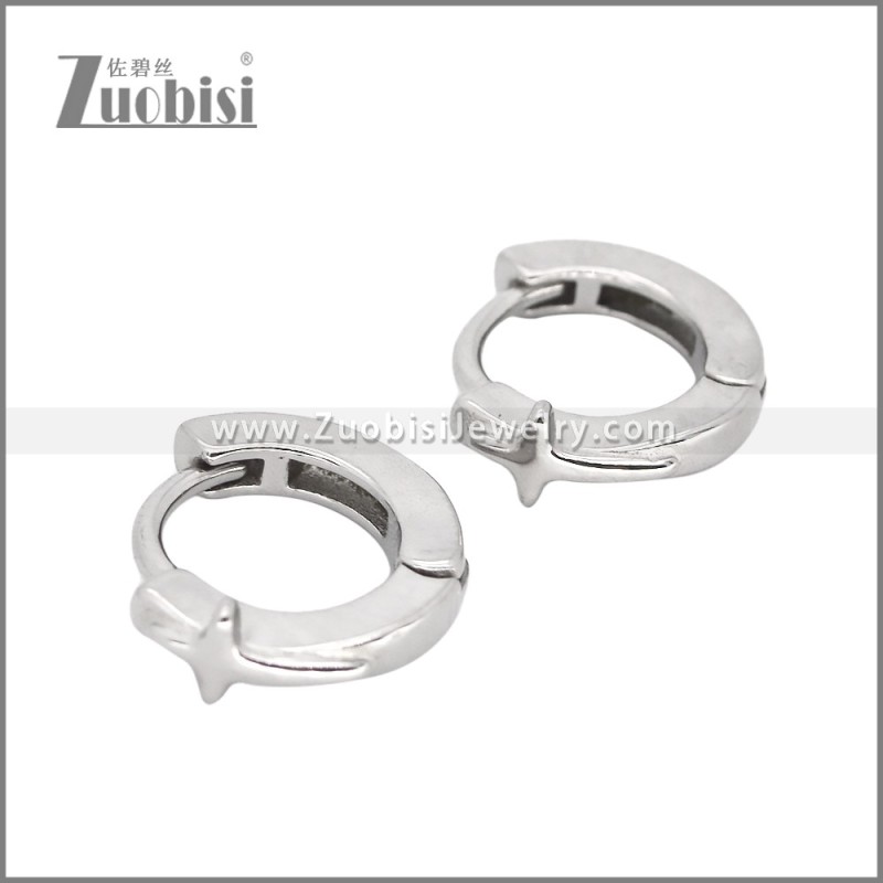 Stainless Steel Earrings e002476