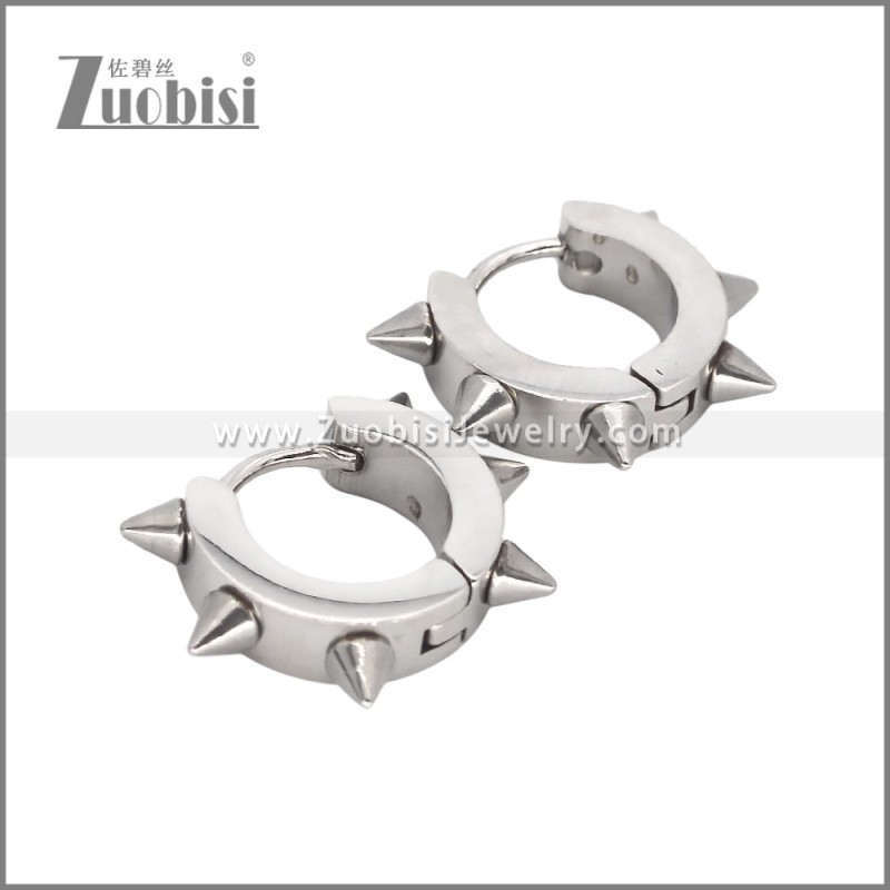 Stainless Steel Earrings e002482S