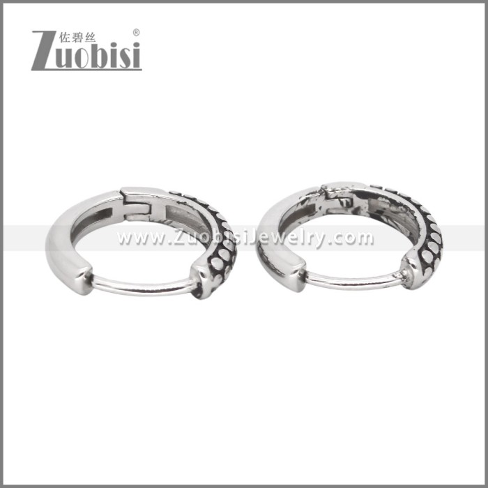 Stainless Steel Earrings e002464
