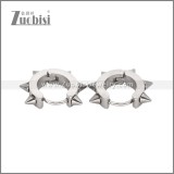 Stainless Steel Earrings e002482S