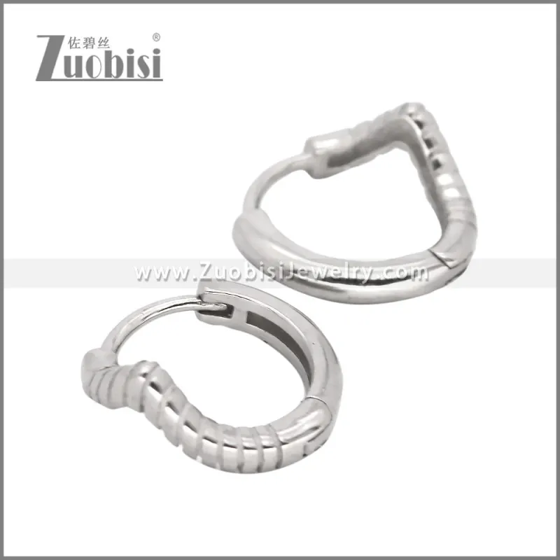 Stainless Steel Earrings e002470