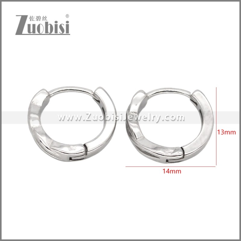 Stainless Steel Earrings e002467