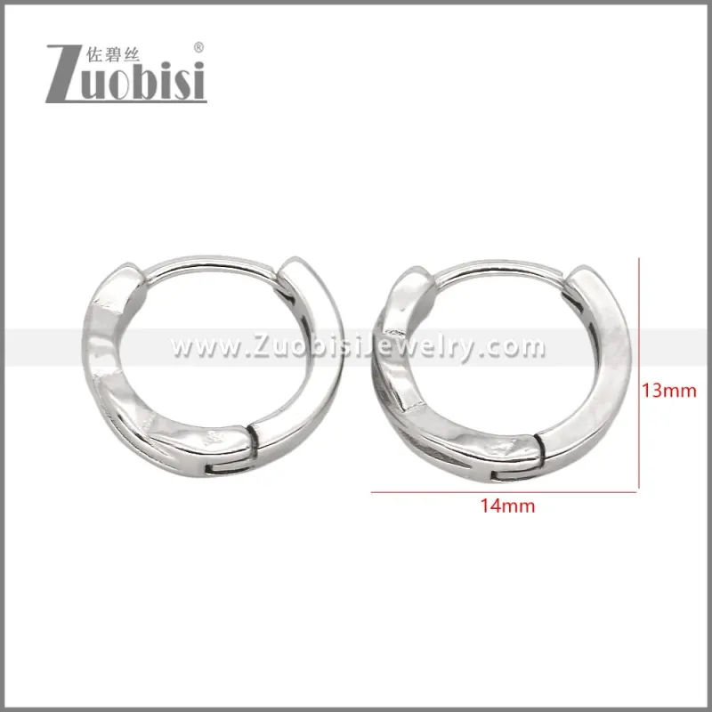 Stainless Steel Earrings e002467
