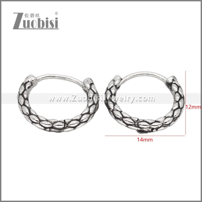 Stainless Steel Earrings e002462