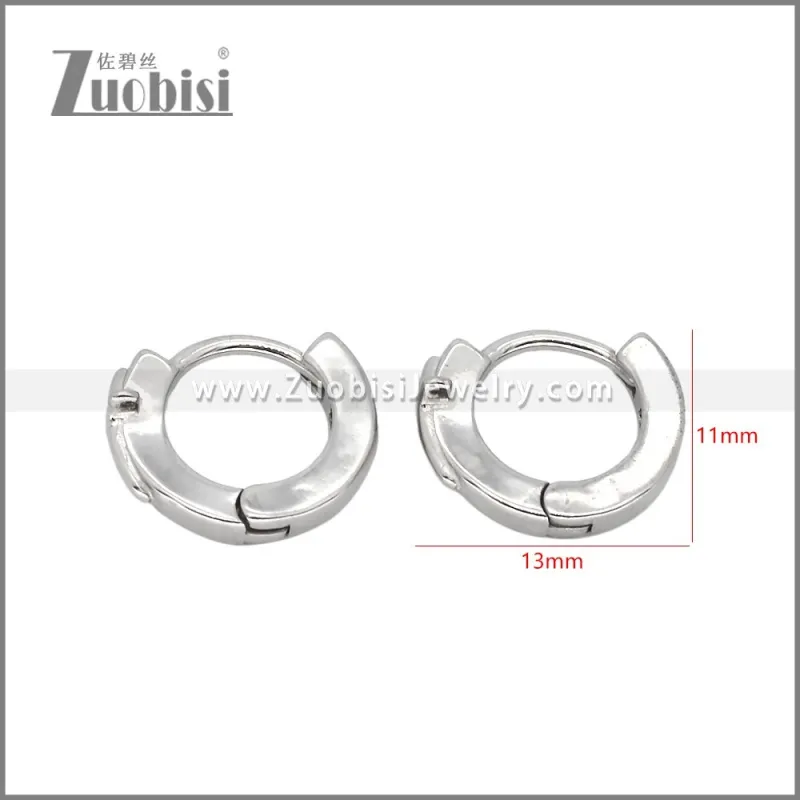 Stainless Steel Earrings e002476