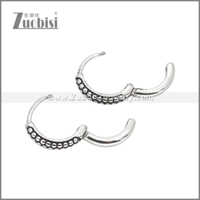 Stainless Steel Earrings e002464