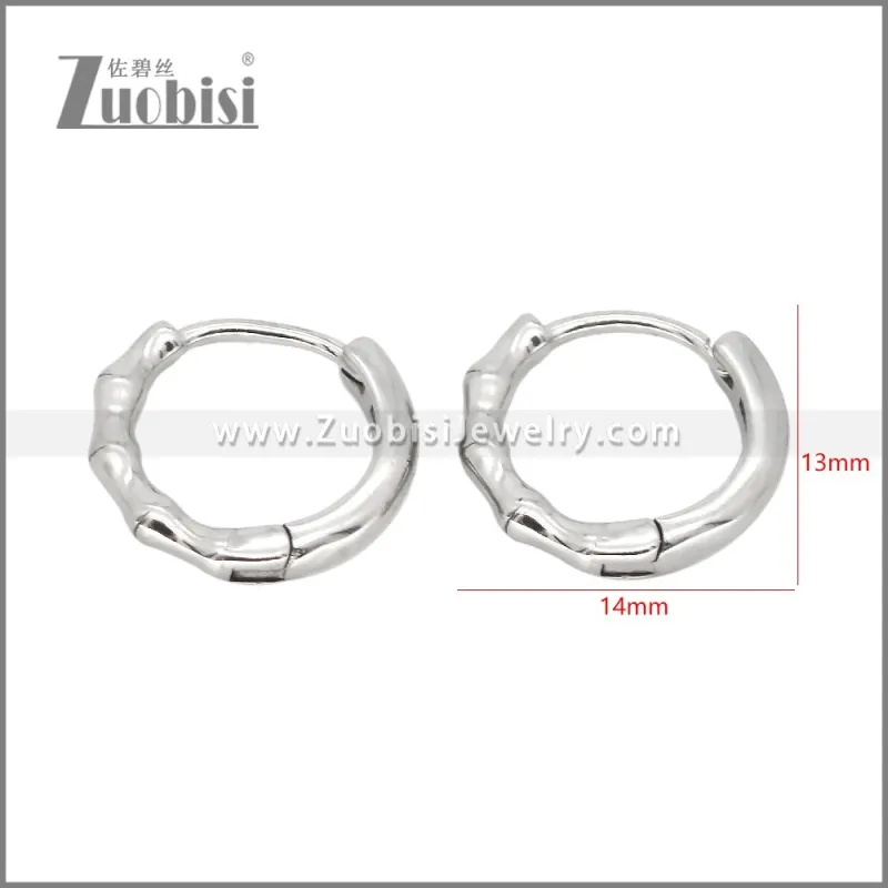 Stainless Steel Earrings e002472
