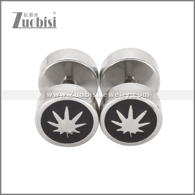 Stainless Steel Earrings e002484S2