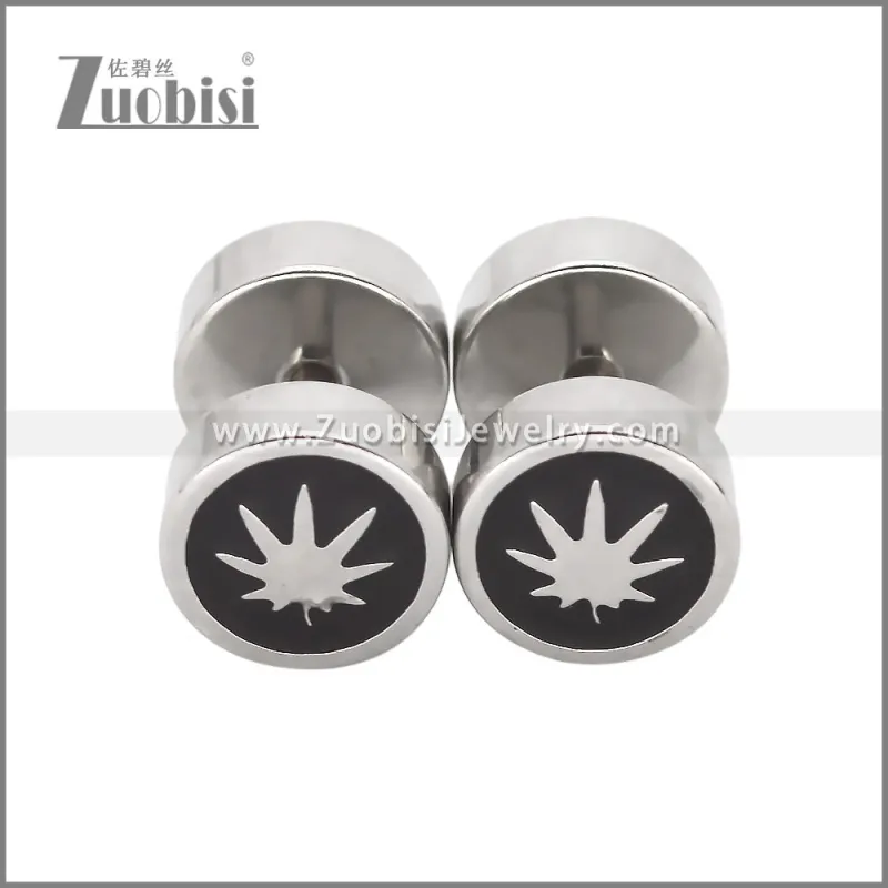 Stainless Steel Earrings e002484S2