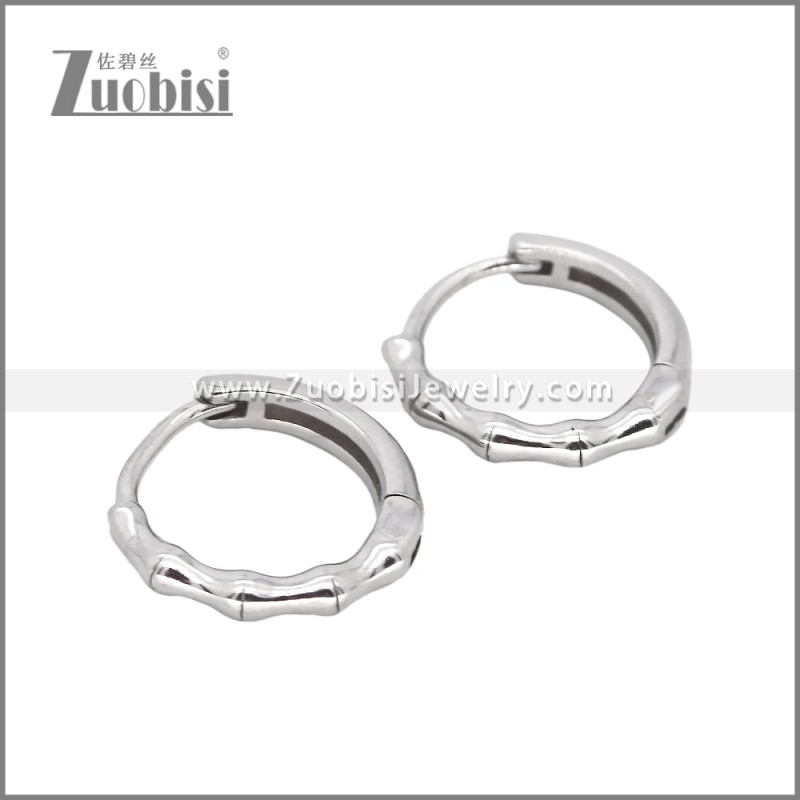 Stainless Steel Earrings e002472