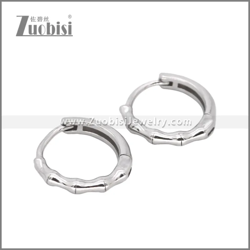 Stainless Steel Earrings e002472