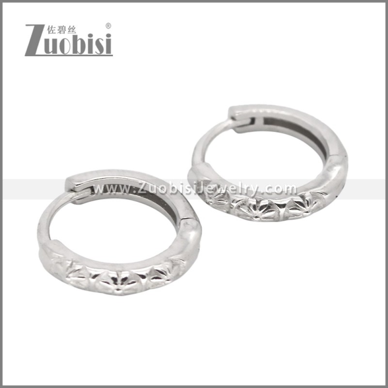 Stainless Steel Earrings e002466