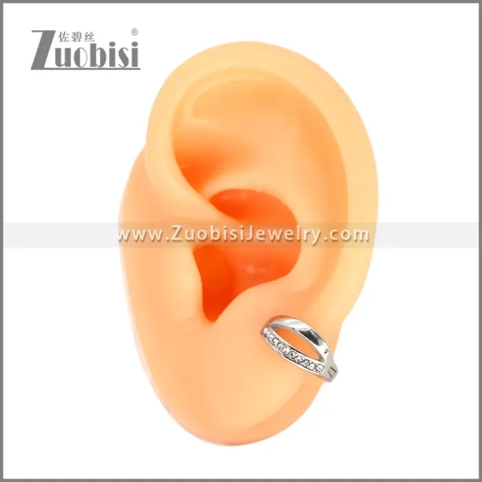 Stainless Steel Earrings e002522S1