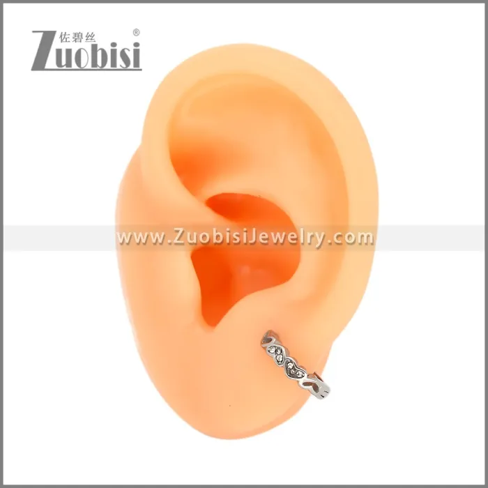 Stainless Steel Huggie Earrings e002496S2