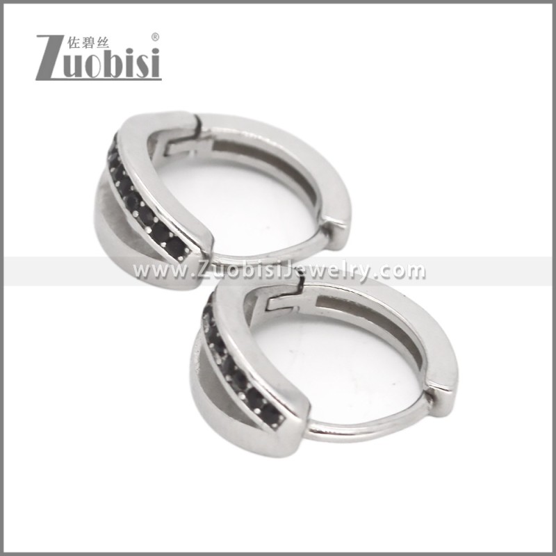 Stainless Steel Earrings e002522S2