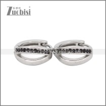 Stainless Steel Earrings e002522S2