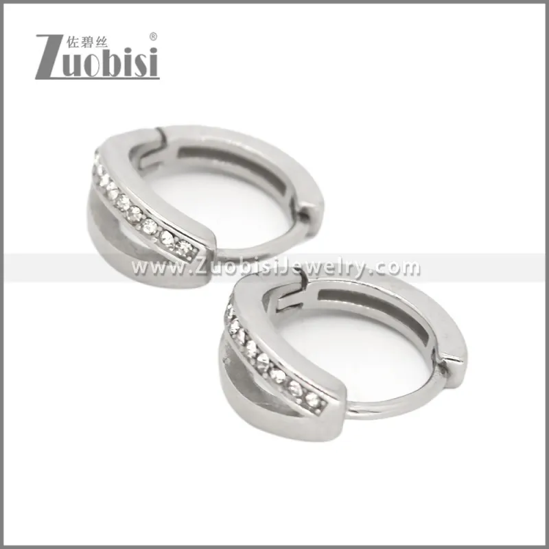 Stainless Steel Earrings e002522S1